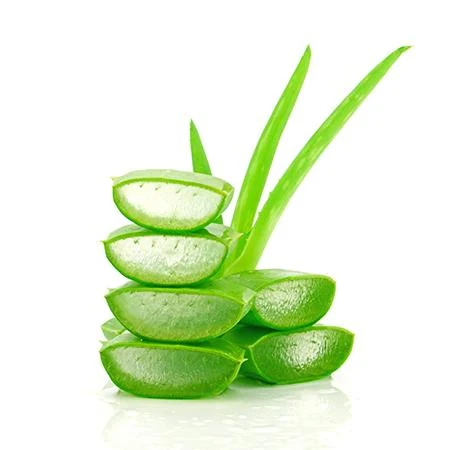 Ghritkumari Sap (Aloe barbadensis) used in Liv-top